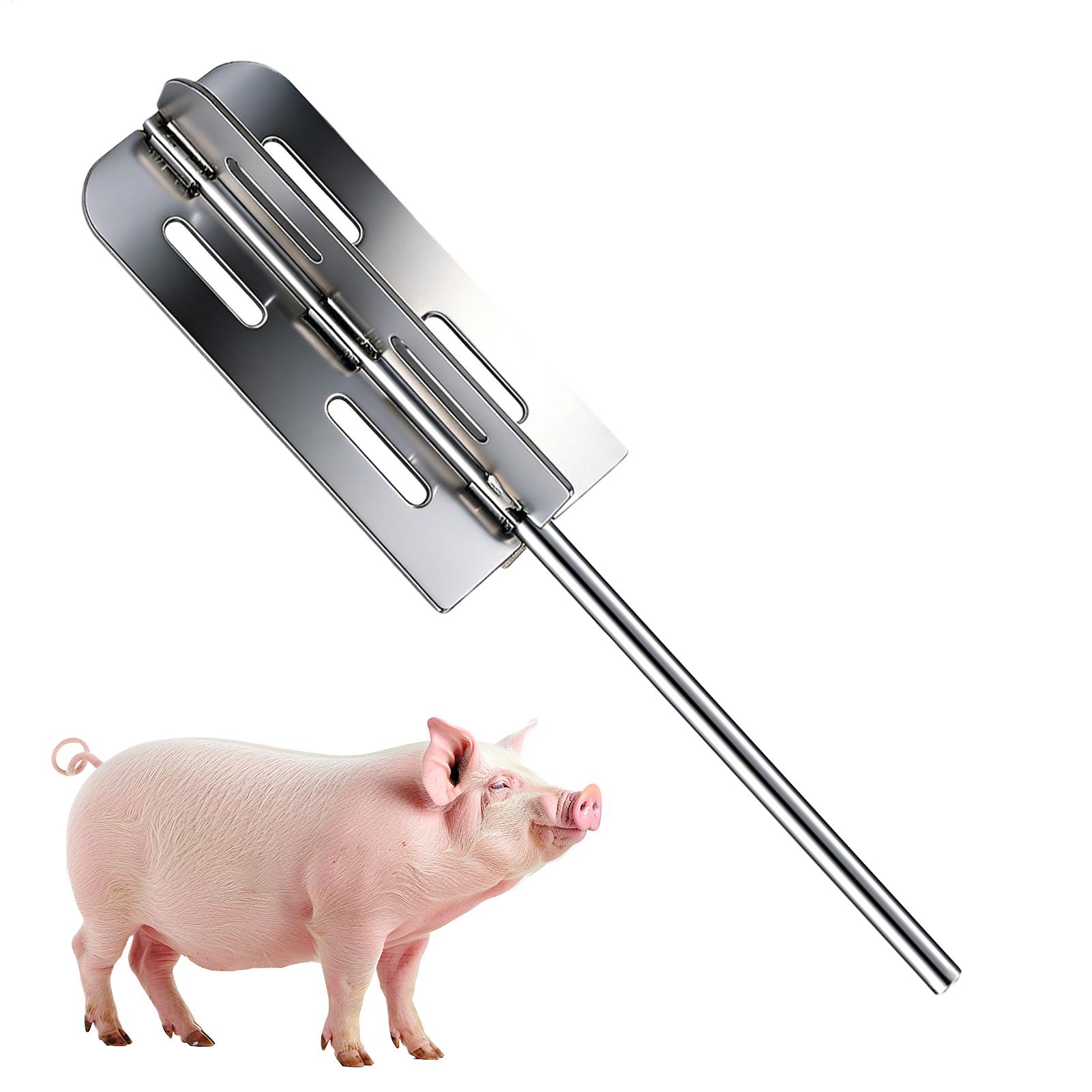 Power Tools For Workshop - Outil d'épilation des poils de porc